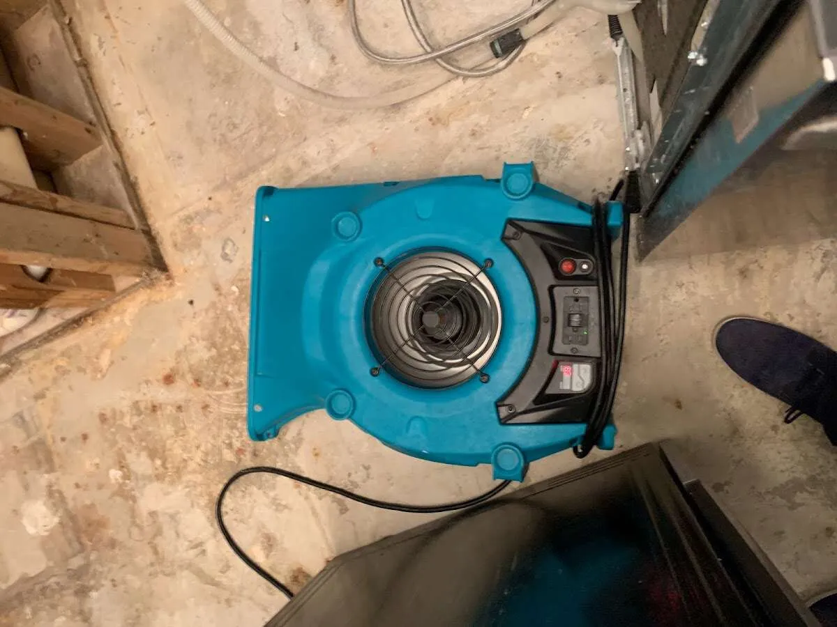 Air mover drying equipment for Mold Remediation & Removal in Brandywine