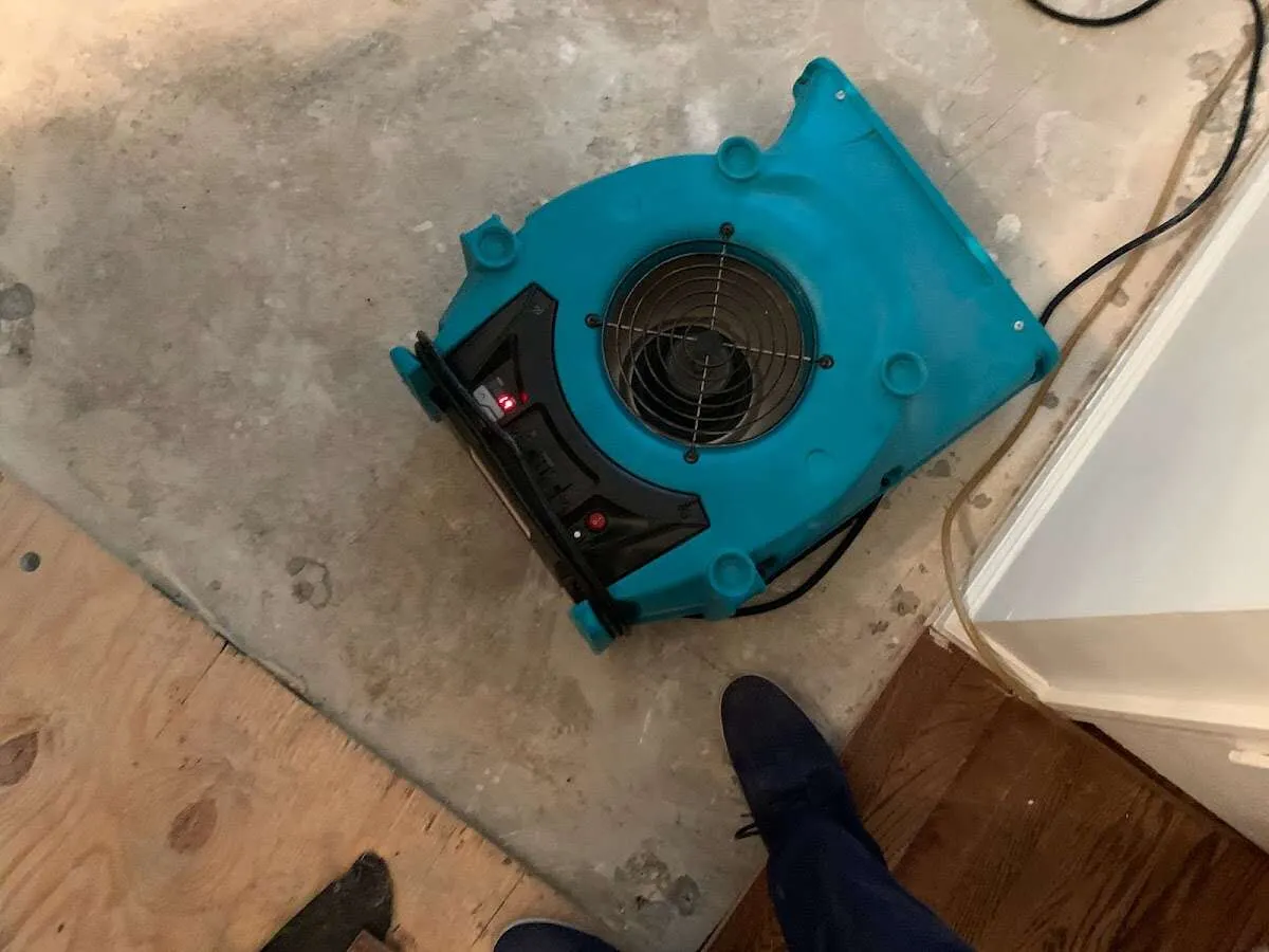 Air mover drying subfloor during Leak Detection & Repair in Brandywine